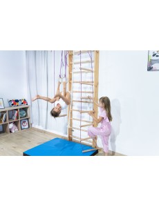  Höhe: Höhe 240 cm