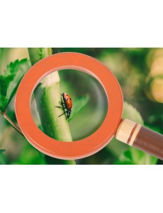 Set: Forscher-Gürtel Set: Forscher-Gürtel